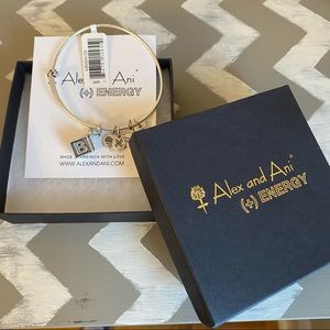 Alex and Ani Baby Block Charm Bracelet Silver NWT Gift Box Included
